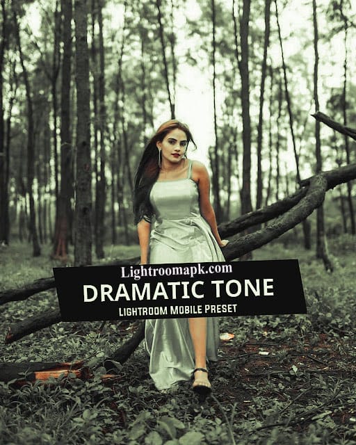 Dramatic Tone Preset Download