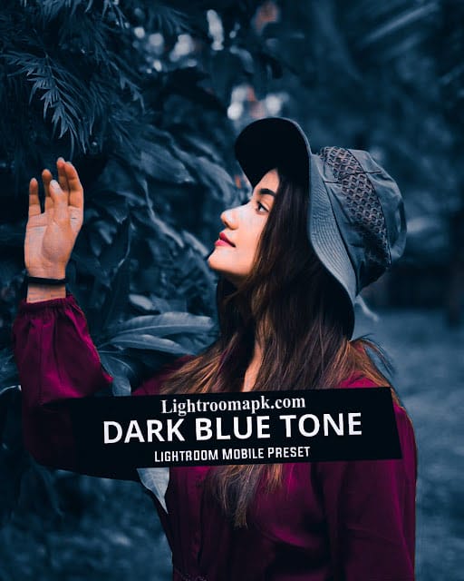 Dark Blue Tone Preset Download