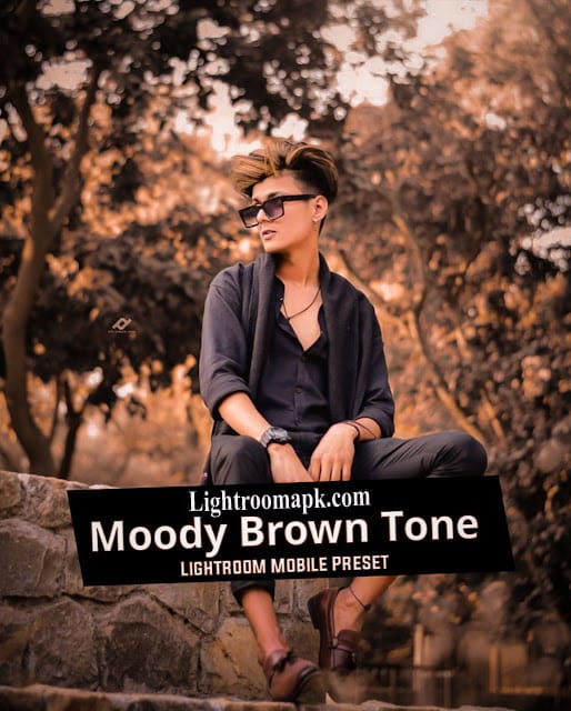 Moody Brown Tone Preset Download