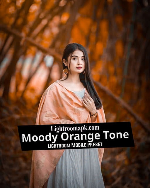 Moody Orange Tone Preset Download