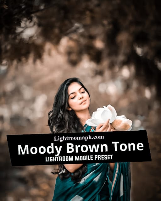 Moody Brown Tone Preset Download