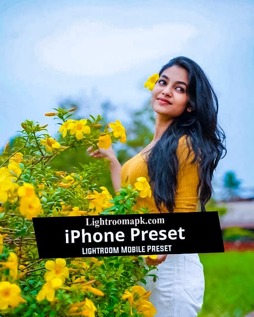 iPhone filter Tone Preset Download